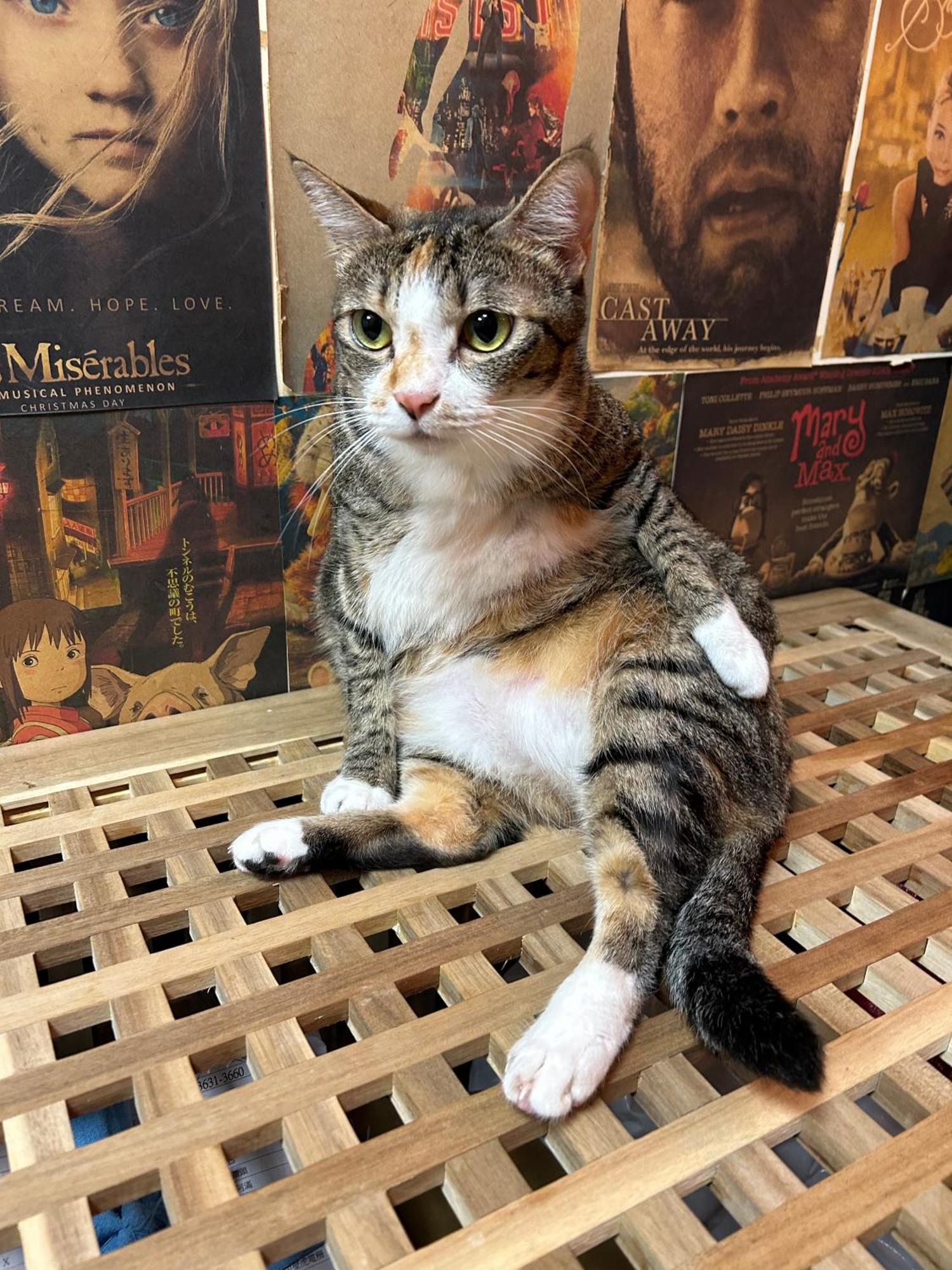 Taipei Triple Tiger Inn Dış mekan fotoğraf