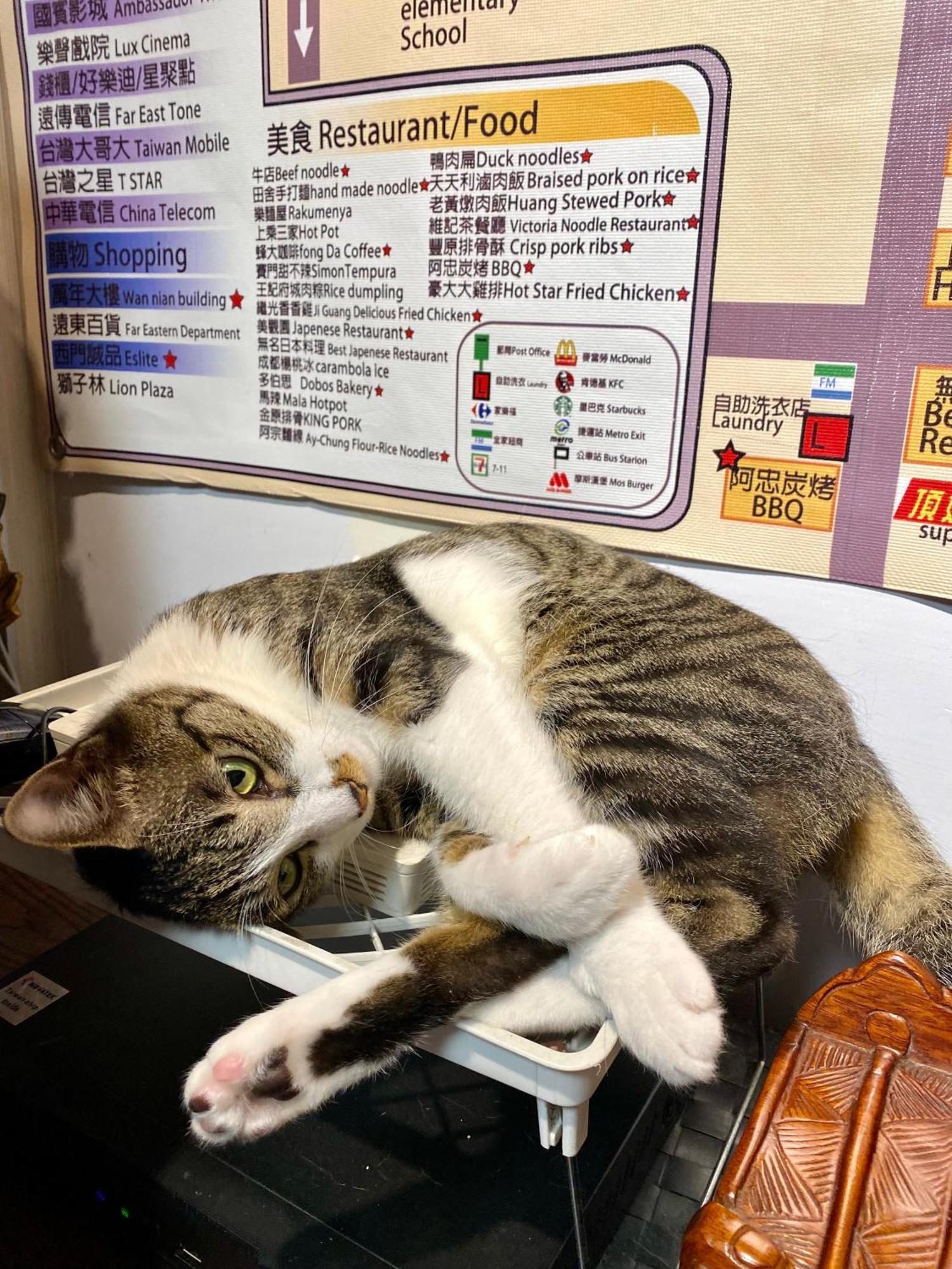 Taipei Triple Tiger Inn Dış mekan fotoğraf